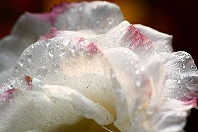 《古剑海外版》Steam褒贬不一 海外版锁海外IP